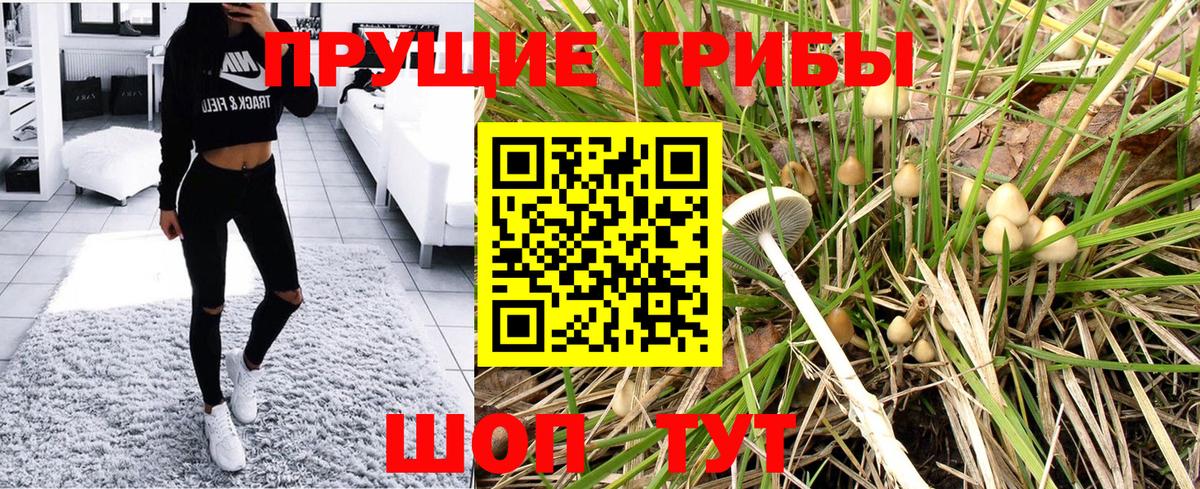 Нефтекумск  Псилоцибиновые грибы MAGIC MUSHROOMS  Вход с VPN 