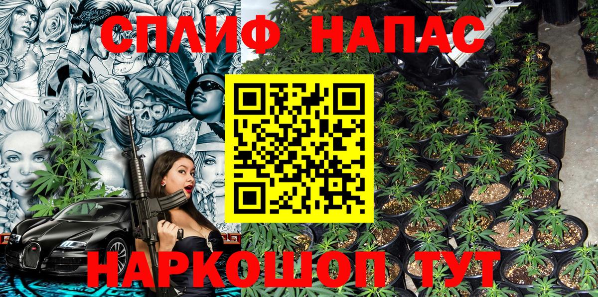 Бошки марихуана SATIVA & INDICA  Шишки марихуана SATIVA & INDICA  Вход с VPN  Бошки марихуана Amnesia  Нефтекумск 