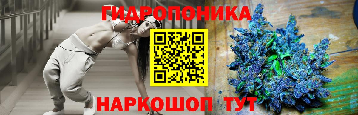 Бошки Шишки индика Нефтекумск